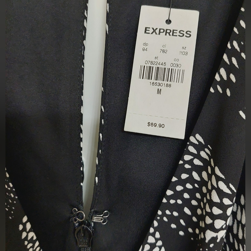 Express Dress - Picture 4 of 11